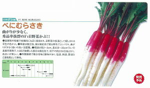 yJuzF1؁@ׂɂނ炳kzl/