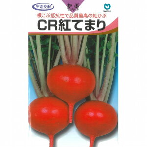 【カブ】CR紅てまり〔宇治交配〕/小袋(2ml)