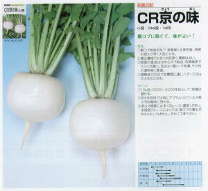 【カブ】CR京の味かぶ〔高農交配〕/小袋