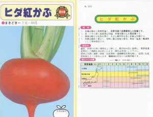 yJuzˍgԁiЂgԁjkŒ0049l/