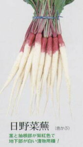 yJuz̓`؃V[Y@؂ԁkgIliŒj/܁i7.0mlj