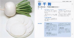 yJuz畑k^LCzl/܁i2.2mlj