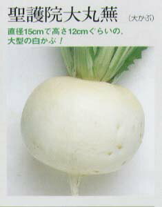 yJuz@i@啓jkŒ0045l/܁i8mlj