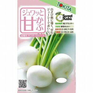 yJuzWbƊÂ (T_EeB[i)k_Czl / (5ml (2000))