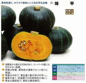 �y�J�{�`���z�����k���B���������݂��ǁl/���܁i8���j