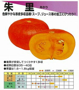 �y�J�{�`���z�闢�k����c�l/���܁i8ml�j