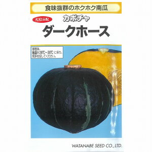 �y�J�{�`���z�_�[�N�z�[�X�k������z�l/���܁i8���j