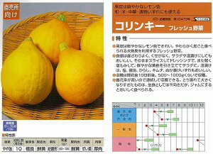 �y�J�{�`���z�R�����L�[�k�T�J�^��z�l�s�o�^�i��t�i�햼�R�����L�[�C�O���o�֎~�i�����i�_����HP�j�Q�Ɓj������22/9/4/���܁i6.5ml�j