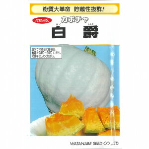 �y�J�{�`���z���݁k������z�l/���܁i8���j