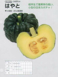 �y�J�{�`���z�͂�Ɓk�^�L�C��z�l/���܁i19���j