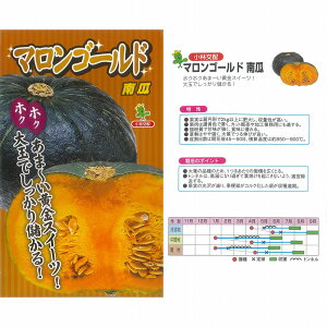 �y�J�{�`���z�}�����S�[���h�k���ь�z�l/���܁i7���j