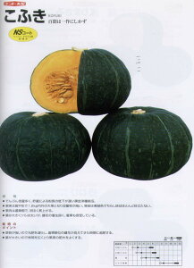 �y�J�{�`���z���ӂ��k�i���g��z�l/���܁i7���j