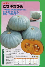 楽天市場 白 かぼちゃ 種の通販 楽天市場 白 かぼちゃ 種の通販