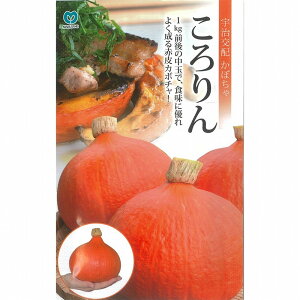 �y�J�{�`���z������k�F����z�l/����