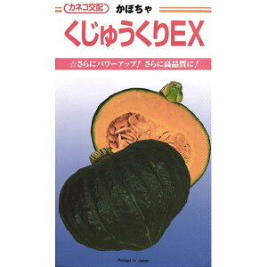 �y�J�{�`���z�����イ����EX�k�J�l�R��z�l/���܁i9���j