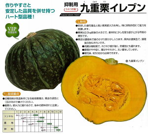 �y�J�{�`���z��d�I�C���u���i�Y�n����̔��j�k�J�l�R��z�l/100��