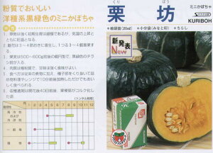 �y�J�{�`���z�I���v�`�i�����i���F�I�V�j�k�T�J�^��z�l/���܁i8���j