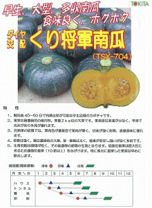 �y�J�{�`���z���菫�R�k�g�L�^��z�l/���܁i7���j