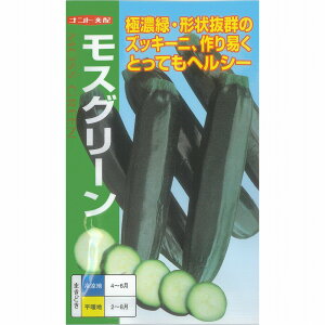 �y�J�{�`���z�Y�b�L�[�j�@���X�O���[���k�i���g��z�l/���܁i10���j