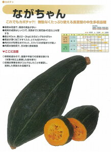 �y�J�{�`���z�Ȃ������k����c�l/���܁i8ml�j