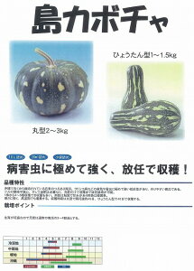 �y�J�{�`���z���꓇���ڂ���i�ی^�j�k0336�t�^�o�l/���܁i5ml�j