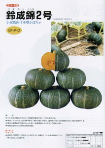 �y�J�{�`���z�~�j�`�~�f�B�J�{�`���@�����Ȃ�J�{�����i�����F�鐬��2���j�k�i���g��z�l/���܁i6���j