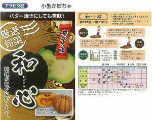 �y�J�{�`���z�a�S�i���^���ڂ���j�k�A�T�q��z�l/���܁i5.0ml�j