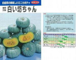 �y�J�{�`���z�����V�����k���B���������݂��ǁl/���܁i8���j