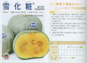 �y�J�{�`���z�ቻ�ρk�T�J�^��z�l/���܁i6.5ml�j