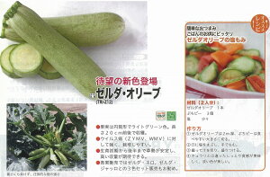 �y�J�{�`���z�Y�b�L�[�j�@�[���_�E���C���i�I���[�u��p�i��j�k�g�L�^��z�l/���܁i10���j