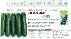 �y�J�{�`���z�Y�b�L�[�j�@�[���_�E�l���k�g�L�^��z�l/���܁i10���j