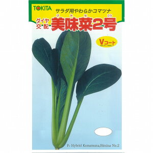 yR}ciz2k_Czl/܁i10.0mlj