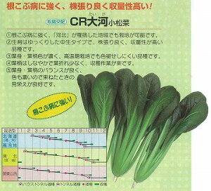 yR}ciz؁@CŔkzl/܁i6.6mlj