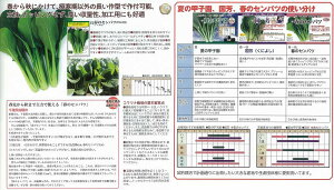 yR}cizt̃Zock_Czl/܁i10.0mlj