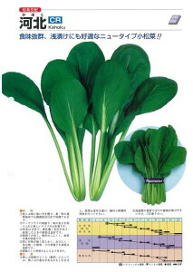 yR}ciz؁@͖kiCR)kzl/܁i6.6mlj