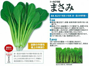 yR}ciz܂݁kg[zNzl/10ml