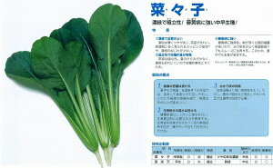 yR}ciz؁Xqk^LCzl/20ml