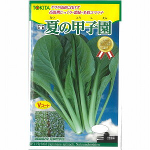 yR}cizĂ̍bqk_Czl/܁i10.0mlj