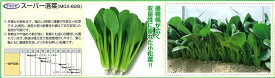 【コマツナ】スーパー洛菜（MGX-628）〔宇治交配〕/小袋（7ml）