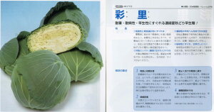 yLxczʗk^LCzl/܁i1.1mlj