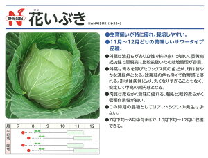 yLxczԂԂiN-334jkzl/܁i100j