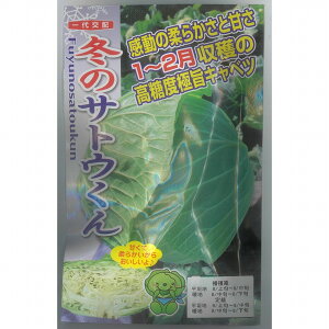 yLxcz×@~̃TgEkz0494l/R[g܁i40j