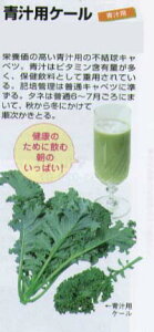 yLxcER[rEP[zP[@`pP[kŒ0061l/