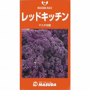 種 ケール 種の人気商品 通販 価格比較 価格 Com 種 ケール 種の人気商品 通販 価格比較 価格 Com