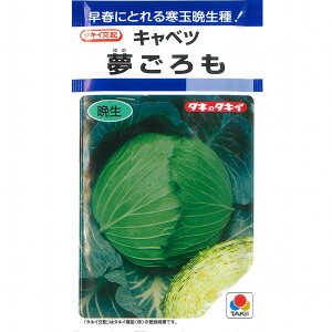 yLxczk^LCzl/܁i1.1mlj