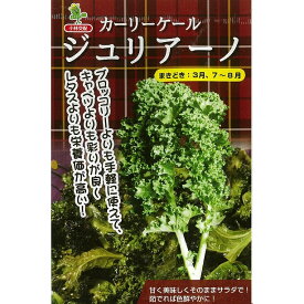 楽天市場 カーリーケール 花 ガーデン Diy の通販
