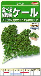 yLxcER[rEP[zHׂ錒NP[@P[kTJ^̃^ll/܁i5mlj