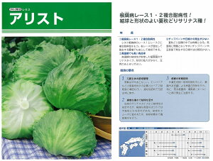 y^XzAXgk^LC琬lio^i햼FTLE513j/ybgL5痱