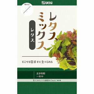 y^XzxCt@[ ^X~bNXk0403l / (10ml)