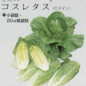 y^XzRX^XkŒl/܁i1.8mlj